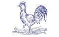 10-Rooster-pure