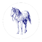 07-Horse-White Circle-no words