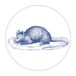 01-Rat-White Circle-no words- grey outline2