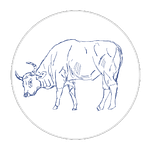 02-Ox-White Circle-no words-grey outline