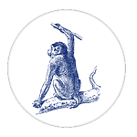 09-Monkey-White Circle-no words-grey outline