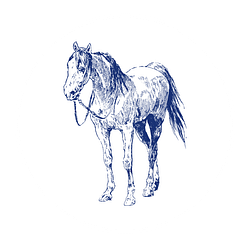 07-Horse-White Circle-no words