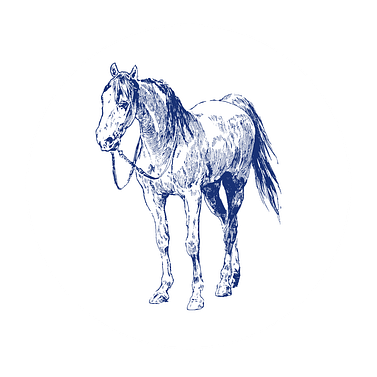 07-Horse-White Circle-no words